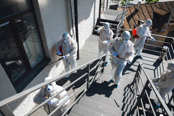 Best Mold Remediation for Healthcare Facilities  in Lamar, SC