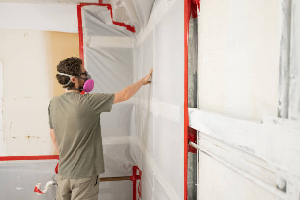 Best Mold Removal for HVAC Installations  in Lamar, SC